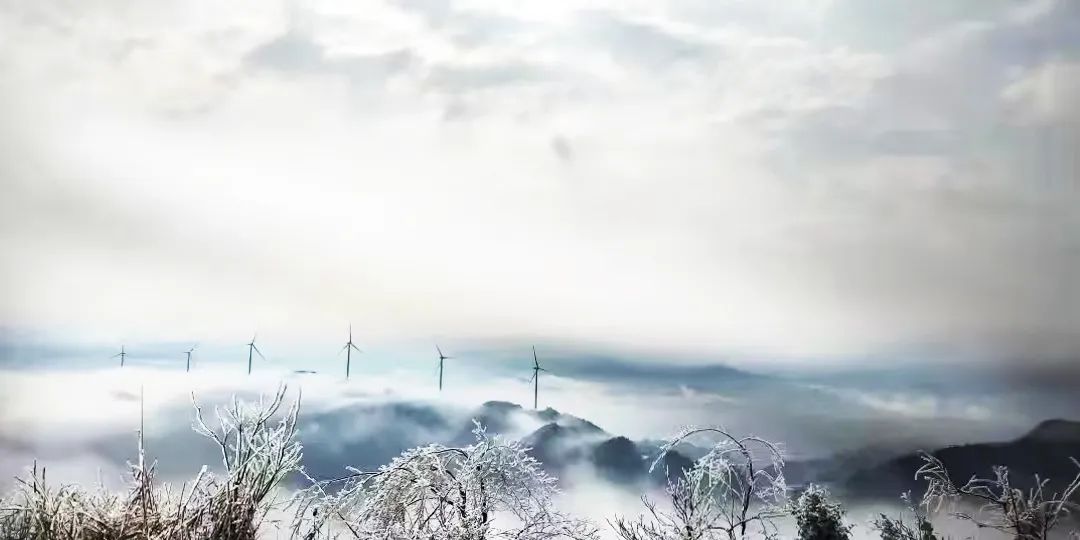 九游会·J9(中国游)集团官网-真人游戏第一品牌